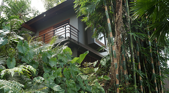 Bamboo Villa